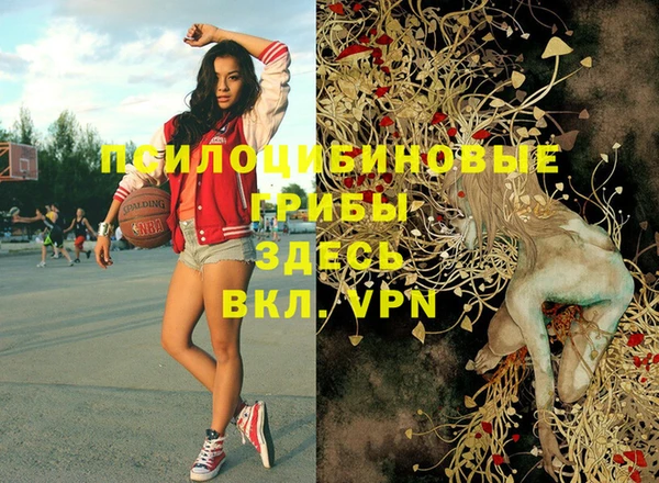 соль курить ск Медногорск
