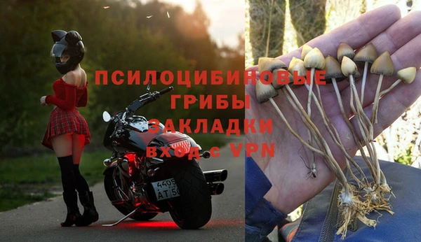 бутират Мегион