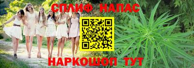 гидра Берёзовский