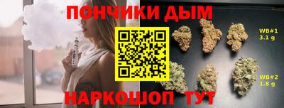 ПСИЛОЦИБИНОВЫЕ ГРИБЫ Бийск