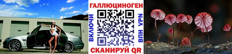 Галлюциногенные грибы Psilocybine cubensis Воронеж