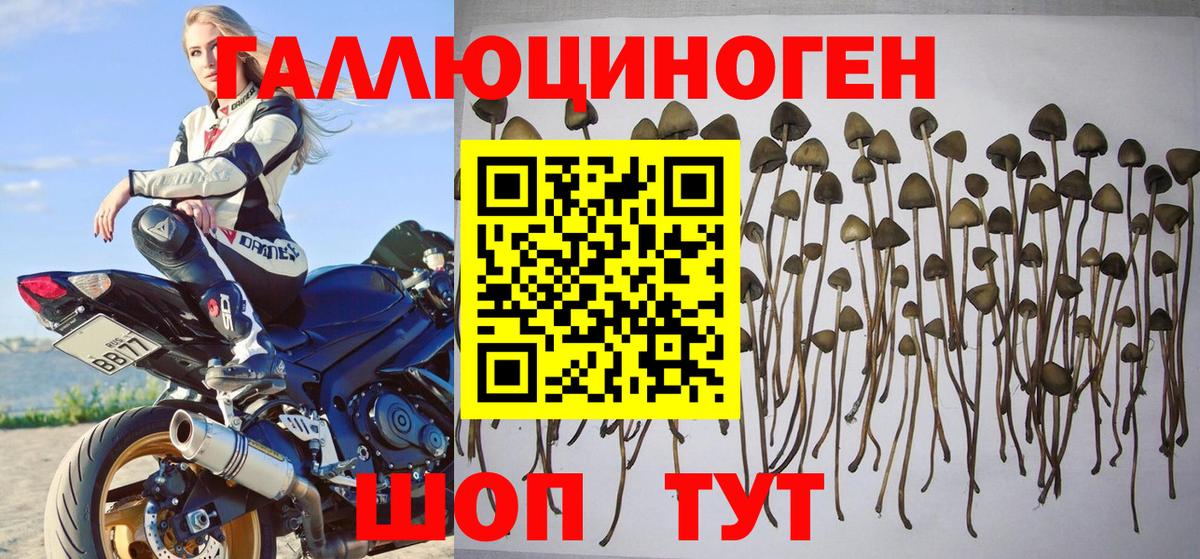 Галлюциногенные грибы ЛСД  Воронеж 