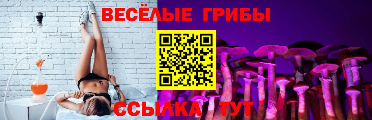 Псилоцибиновые грибы Magic Shrooms Воронеж